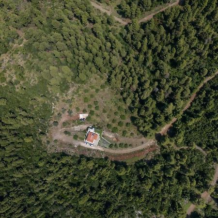 Dream House Capturing The Magic Of Nature Vlachia Εξωτερικό φωτογραφία
