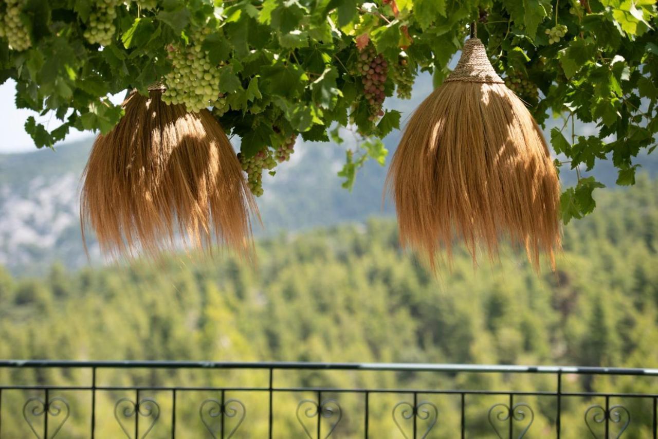 Dream House Capturing The Magic Of Nature Vlachia Εξωτερικό φωτογραφία
