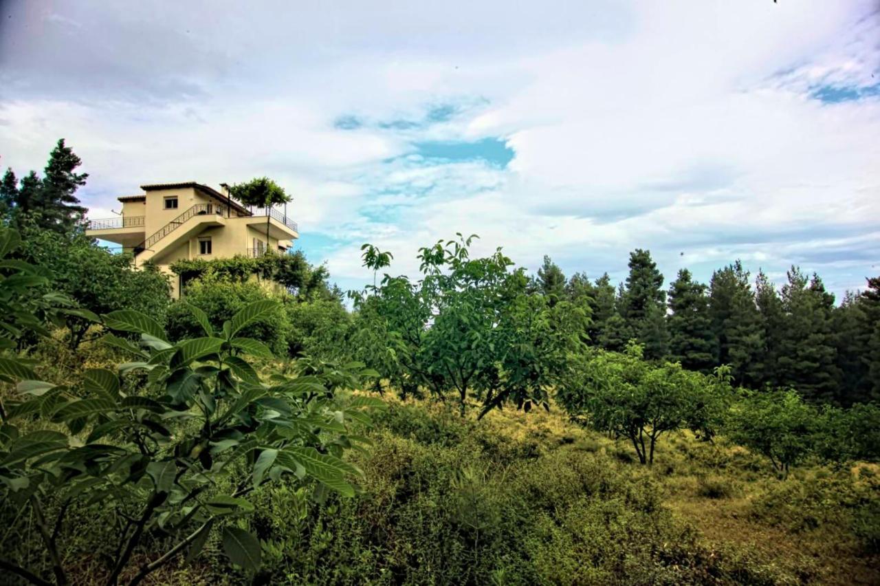 Dream House Capturing The Magic Of Nature Vlachia Εξωτερικό φωτογραφία