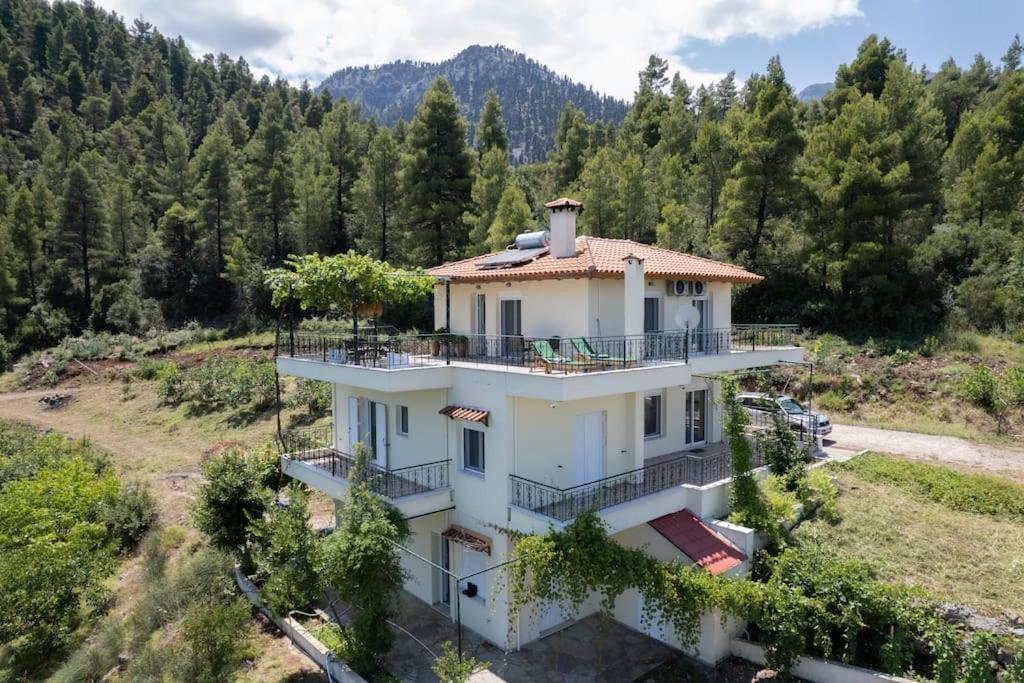 Dream House Capturing The Magic Of Nature Vlachia Εξωτερικό φωτογραφία
