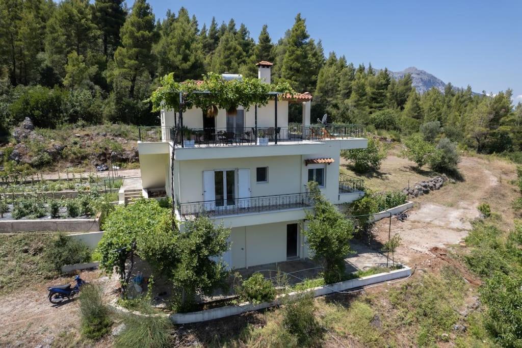 Dream House Capturing The Magic Of Nature Vlachia Εξωτερικό φωτογραφία