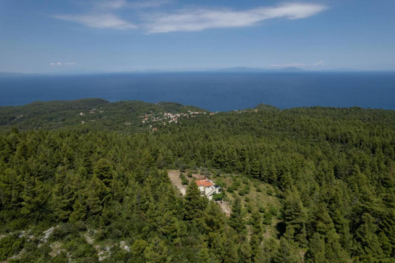 Dream House Capturing The Magic Of Nature Vlachia Εξωτερικό φωτογραφία