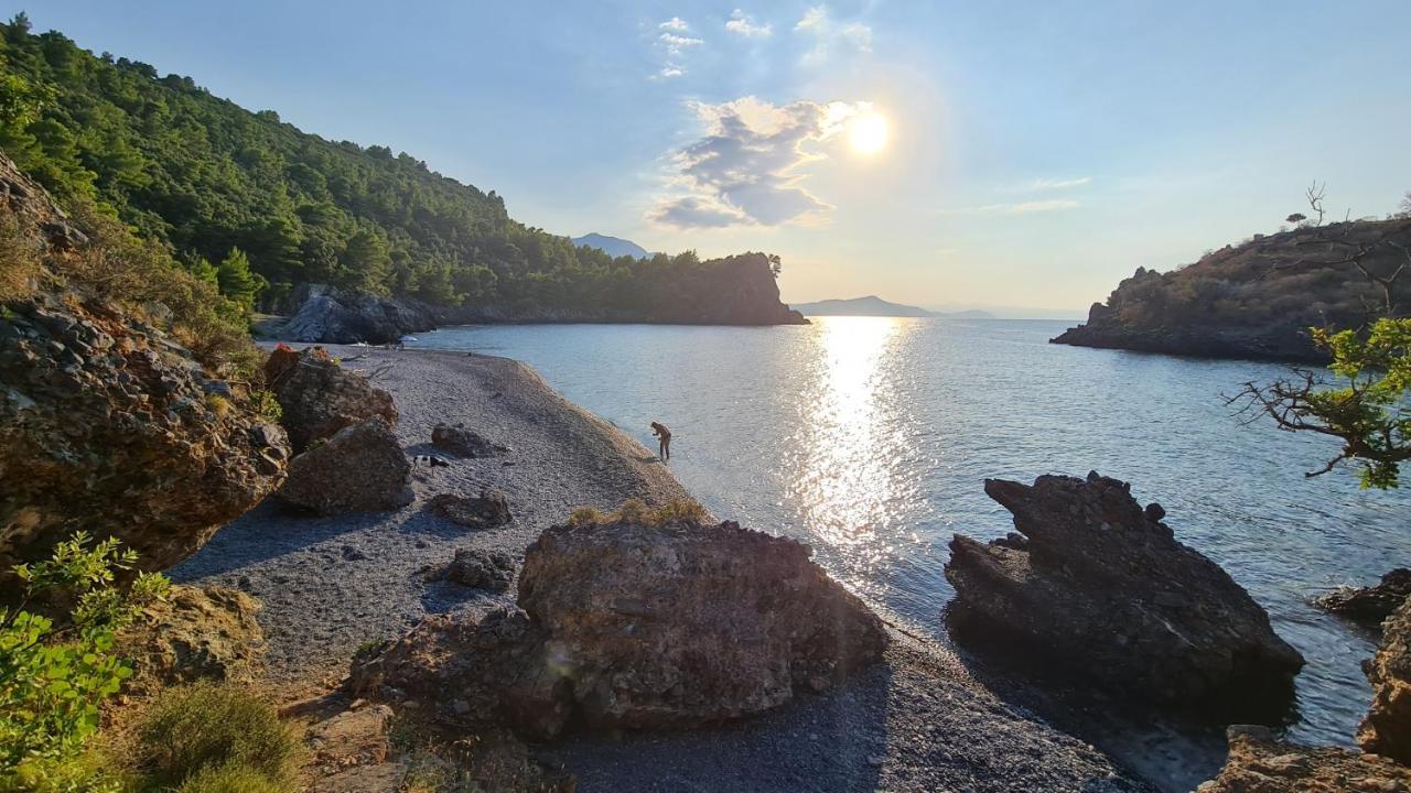 Dream House Capturing The Magic Of Nature Vlachia Εξωτερικό φωτογραφία