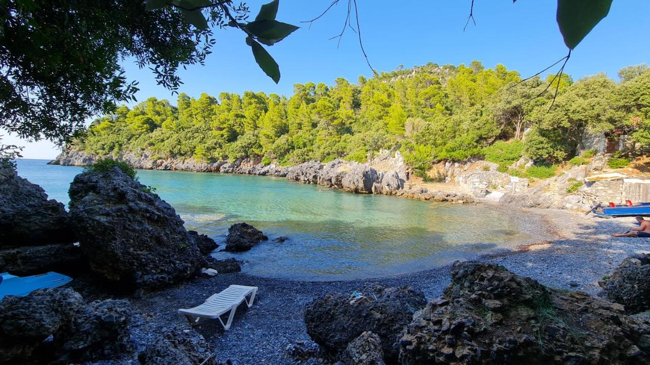 Dream House Capturing The Magic Of Nature Vlachia Εξωτερικό φωτογραφία