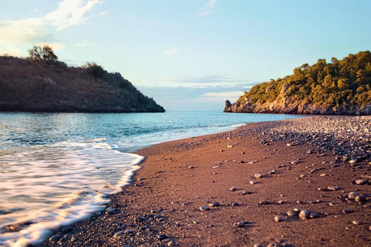 Dream House Capturing The Magic Of Nature Vlachia Εξωτερικό φωτογραφία