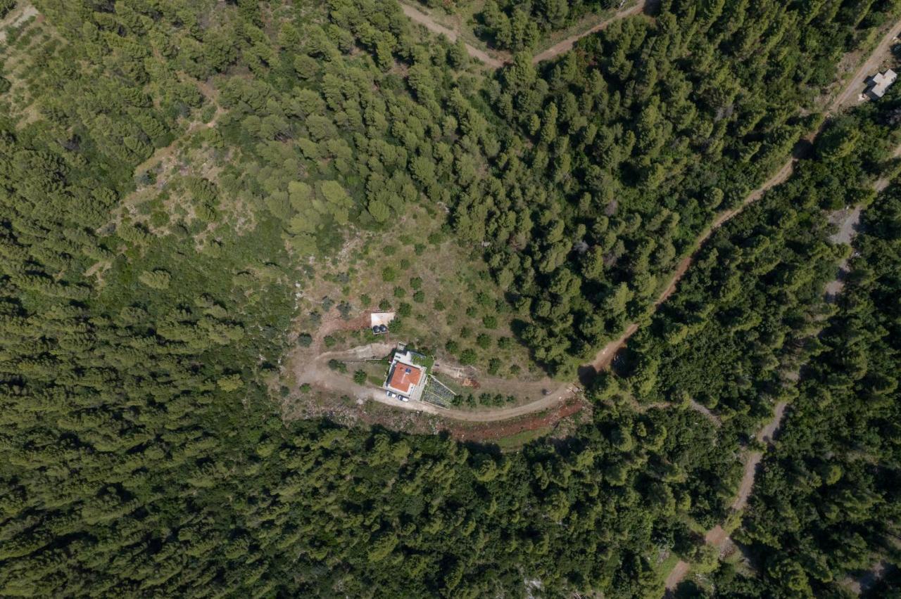 Dream House Capturing The Magic Of Nature Vlachia Εξωτερικό φωτογραφία