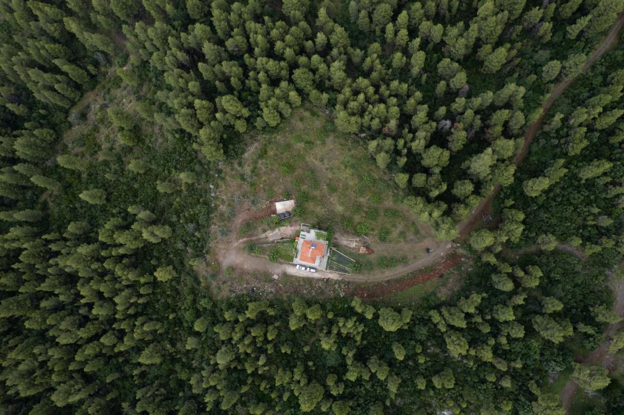 Dream House Capturing The Magic Of Nature Vlachia Εξωτερικό φωτογραφία